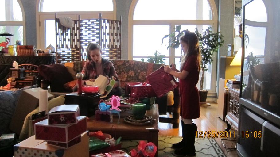 click for larger size