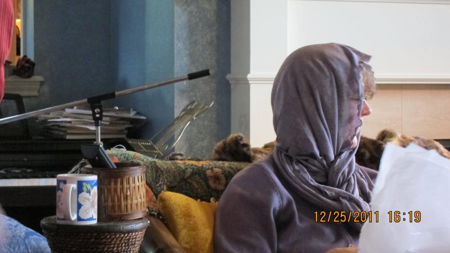 click for larger size