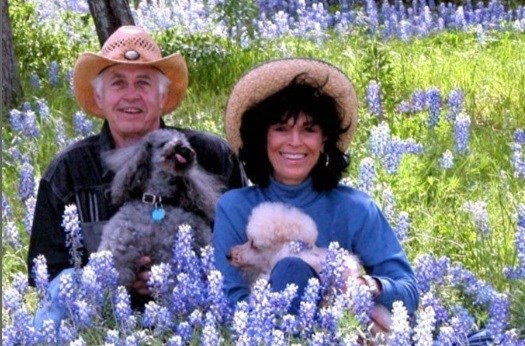 click for larger size