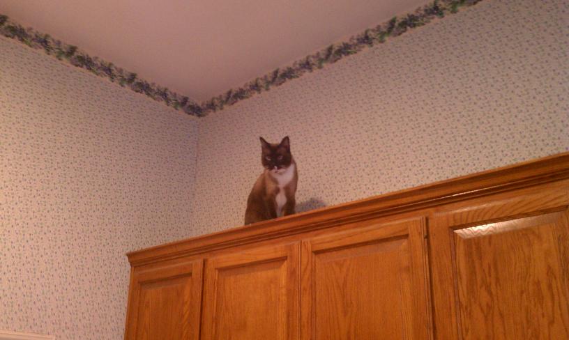 click for larger size