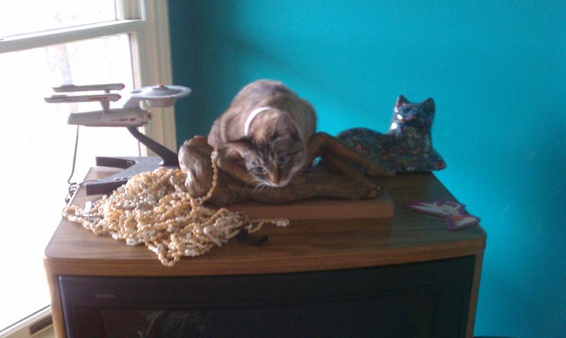 click for larger size