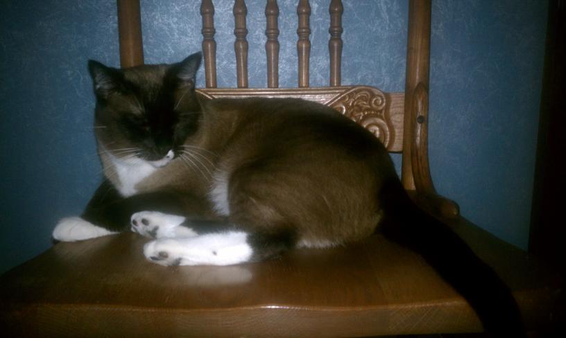 click for larger size