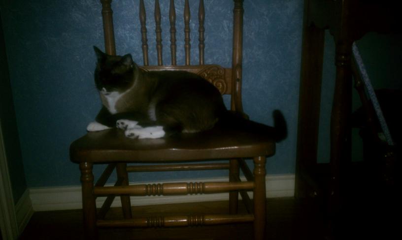 click for larger size