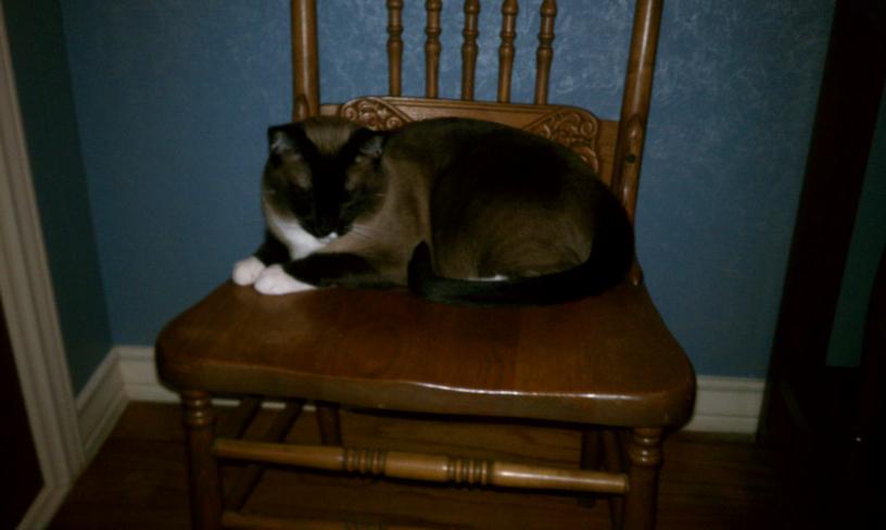 click for larger size