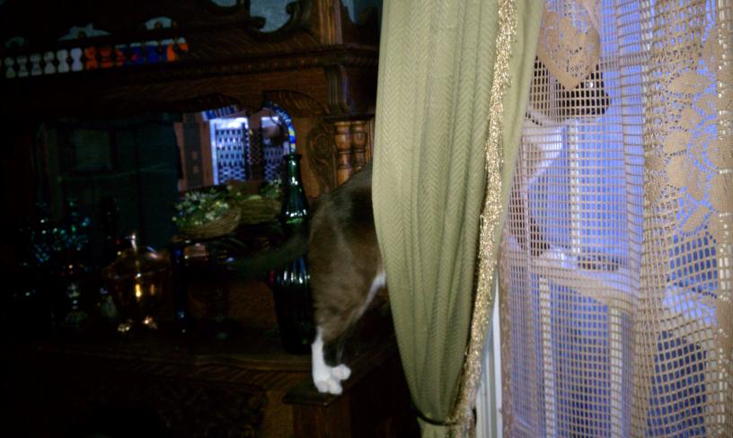 click for larger size