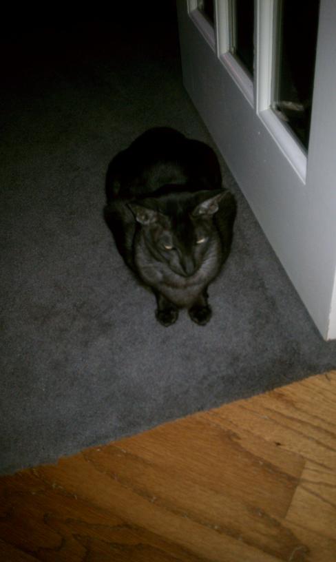 click for larger size