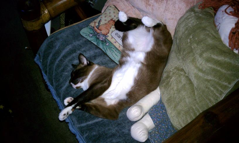 click for larger size