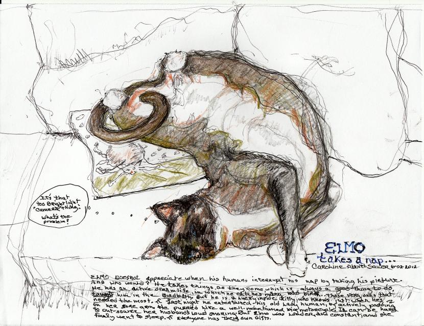 click for larger size