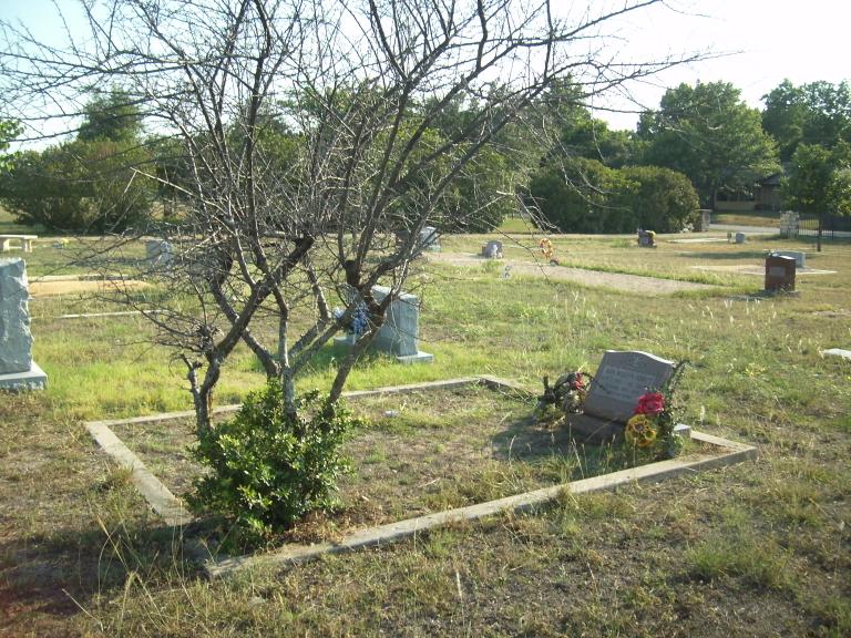 click for larger size