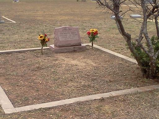 click for larger size