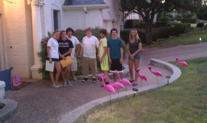 click for larger size