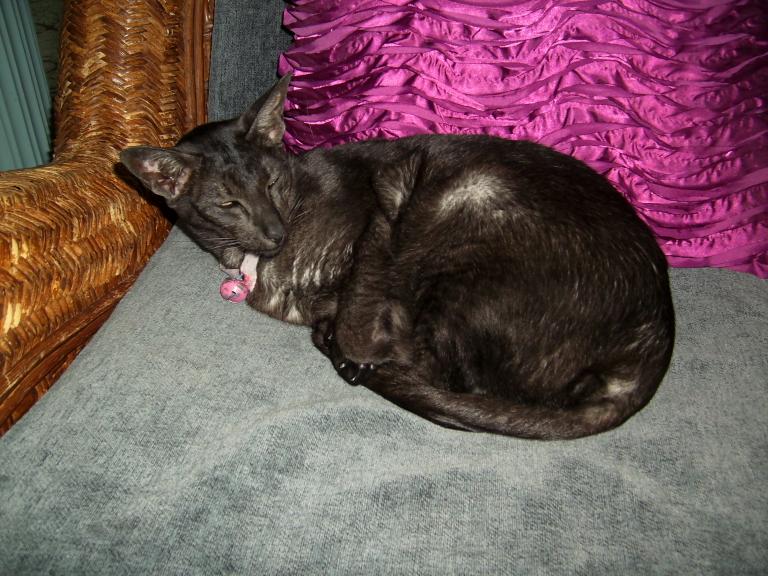 click for larger size