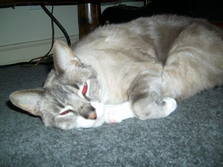 click for larger size