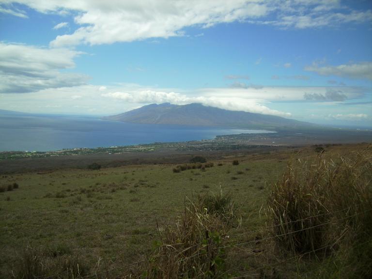 click for larger size