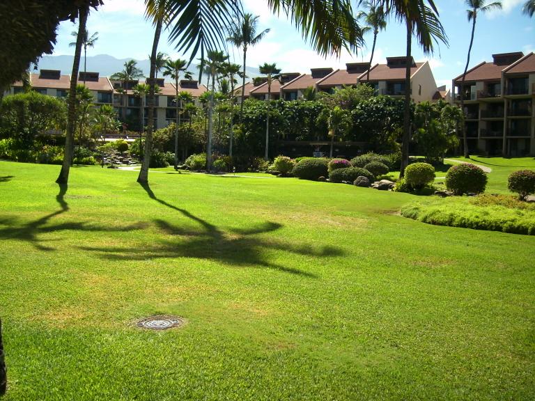 click for larger size