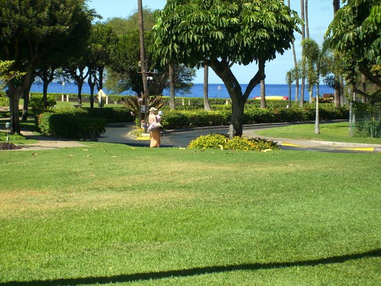 click for larger size