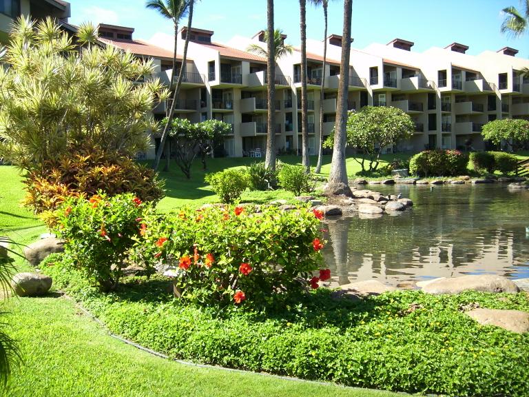 click for larger size