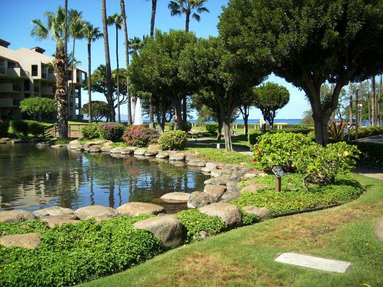 click for larger size