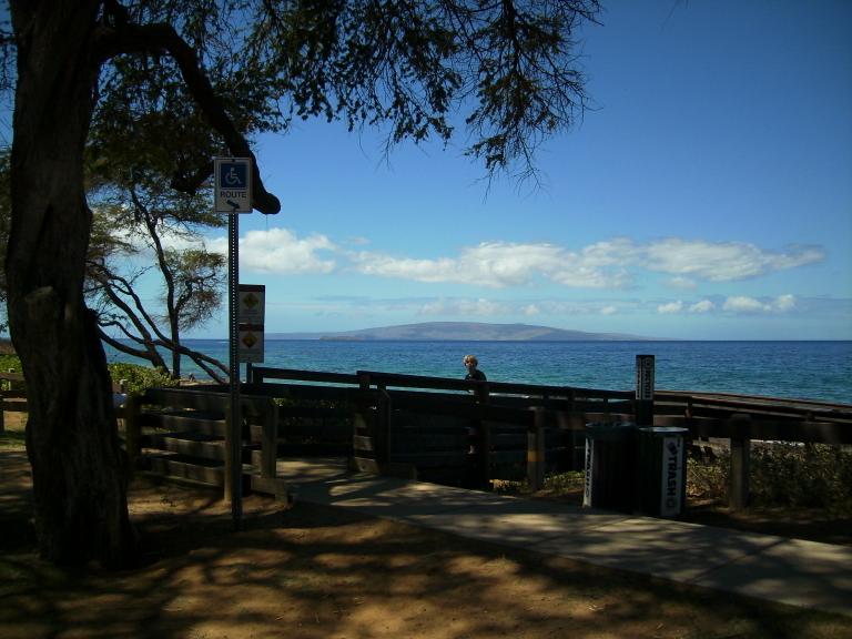 click for larger size