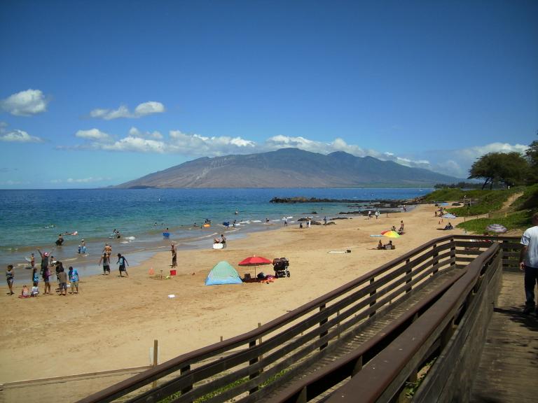 click for larger size