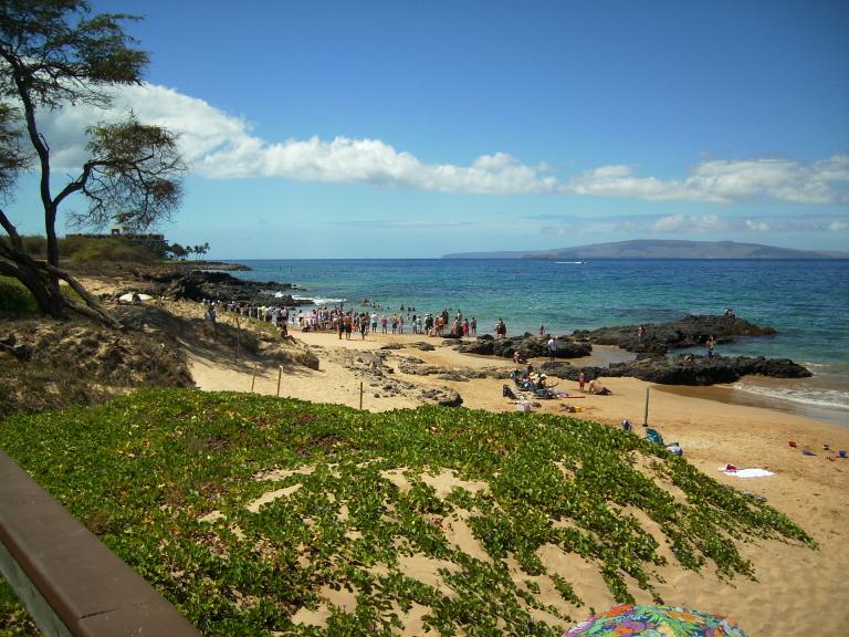 click for larger size