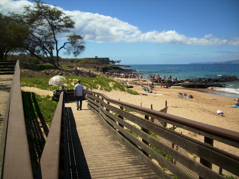 click for larger size