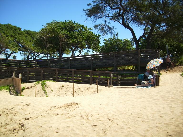 click for larger size