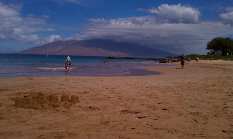 click for larger size