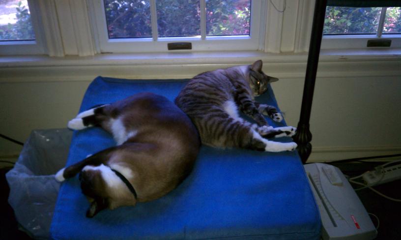 click for larger size