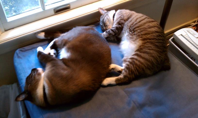 click for larger size