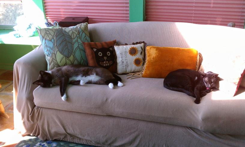 click for larger size