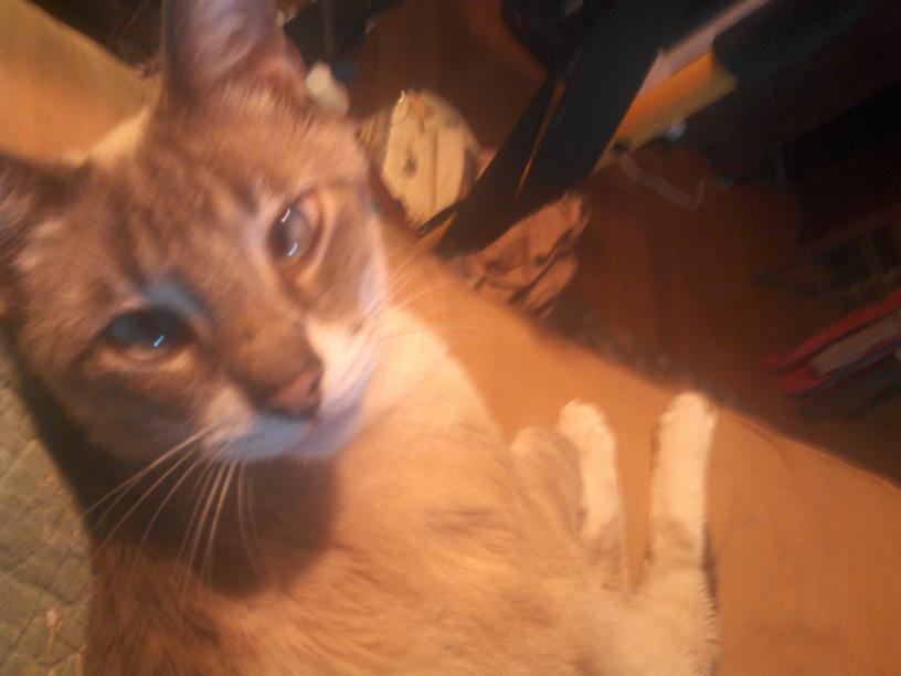 click for larger size