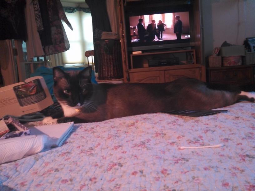 click for larger size