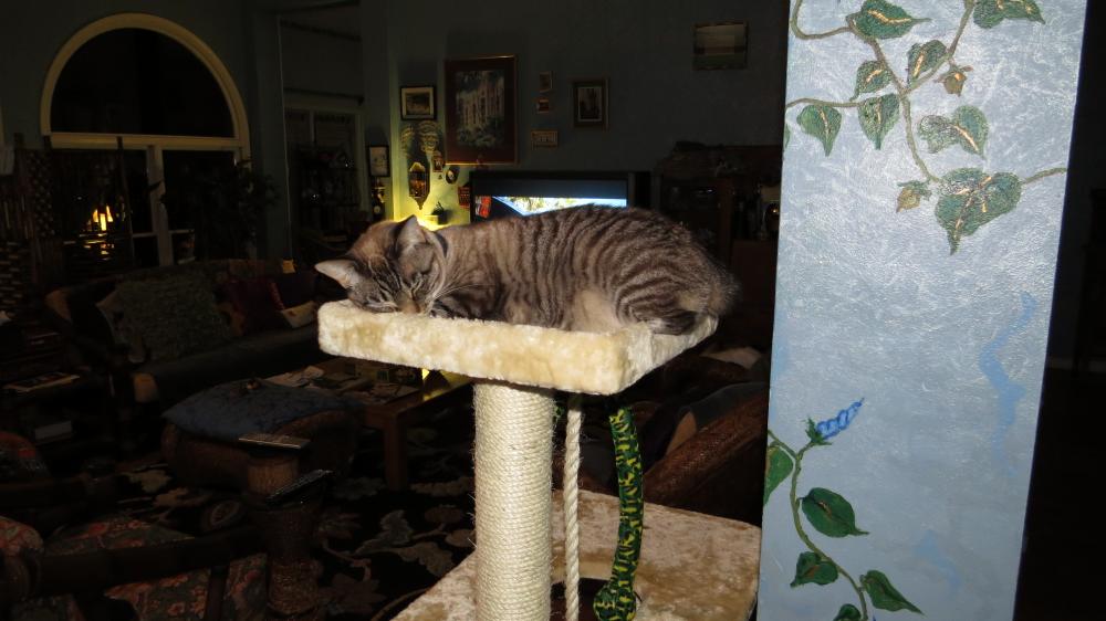 click for larger size