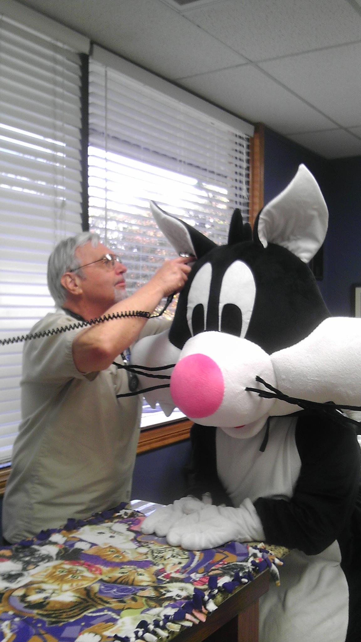 click for larger size