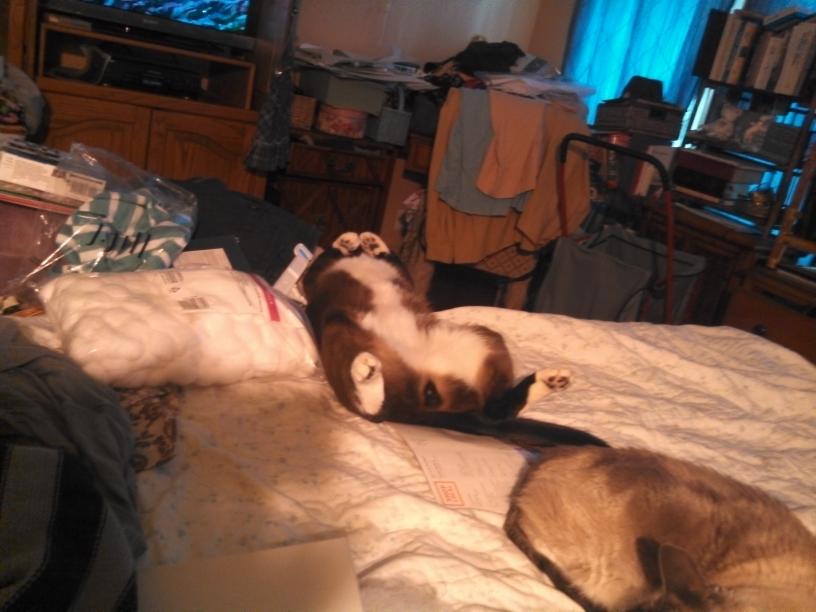 click for larger size