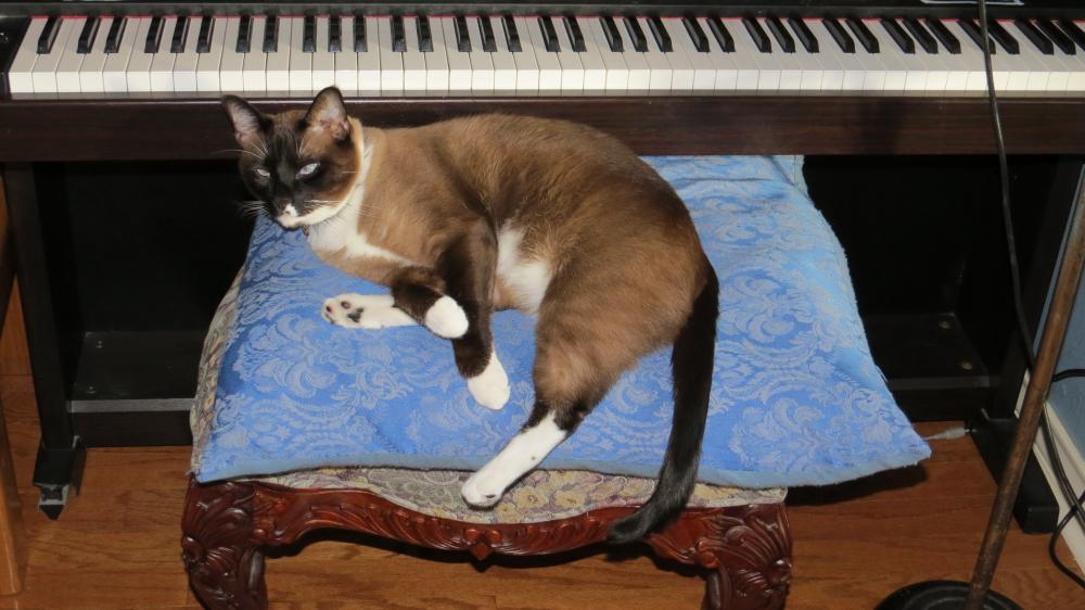 click for larger size