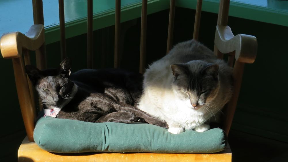 click for larger size