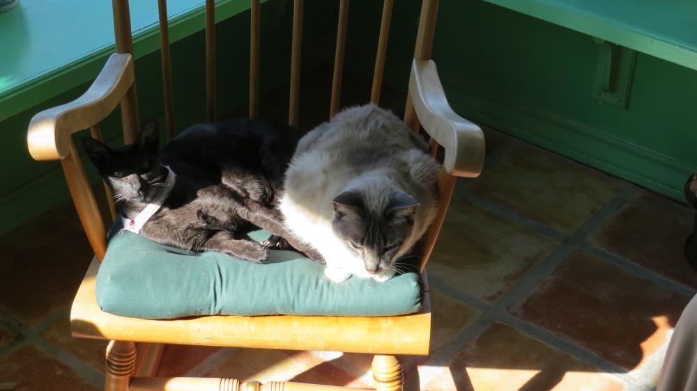 click for larger size