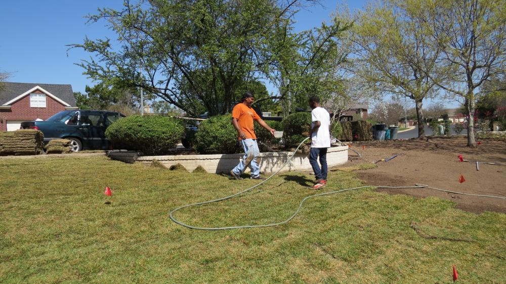 click for larger size