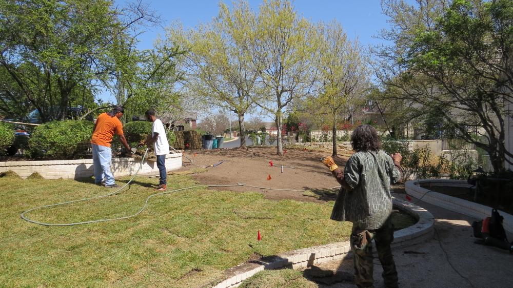 click for larger size