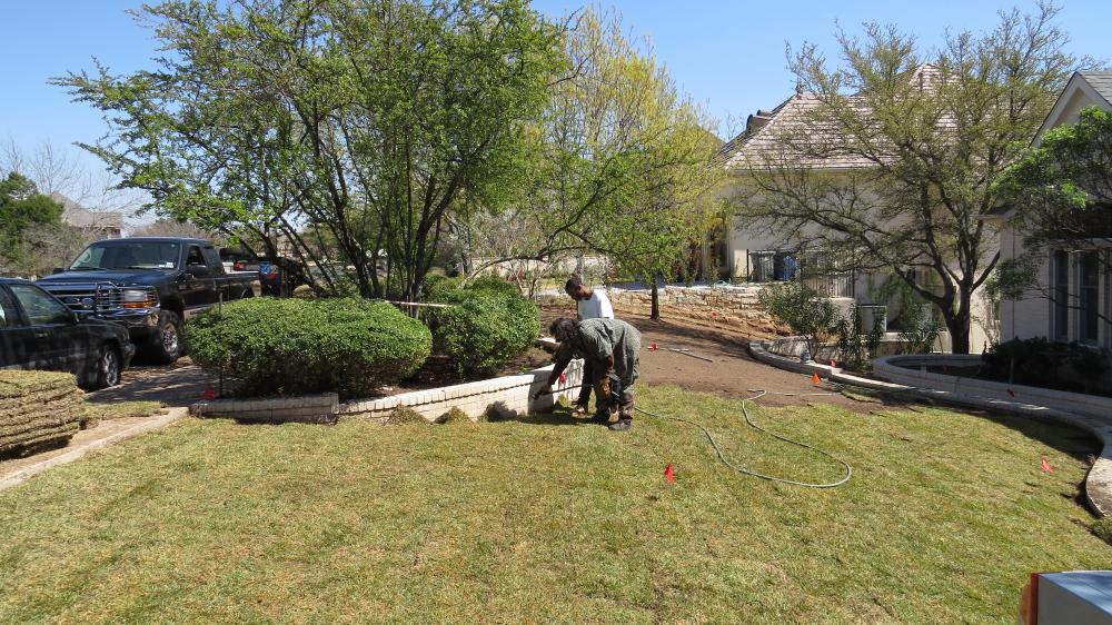 click for larger size