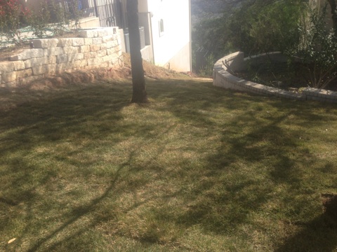 click for larger size