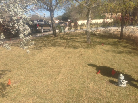 click for larger size