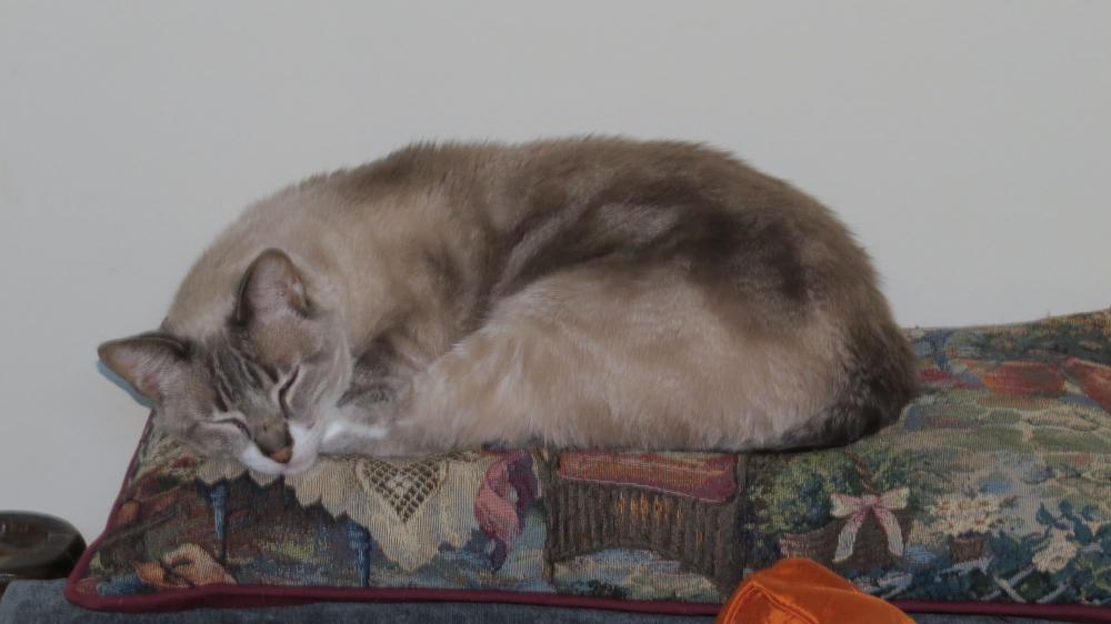 click for larger size