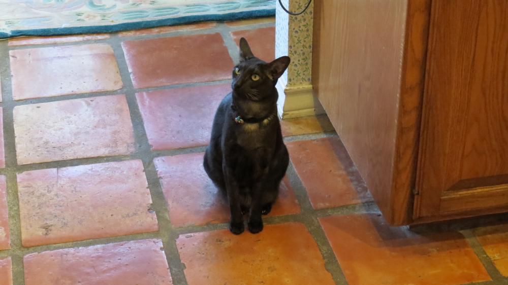 click for larger size