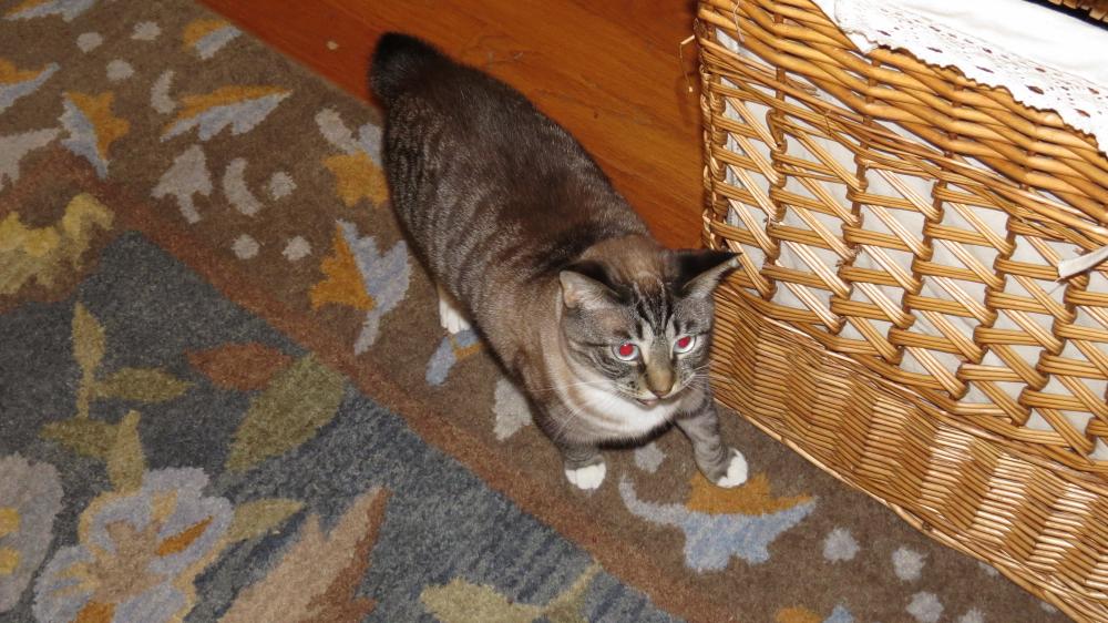 click for larger size