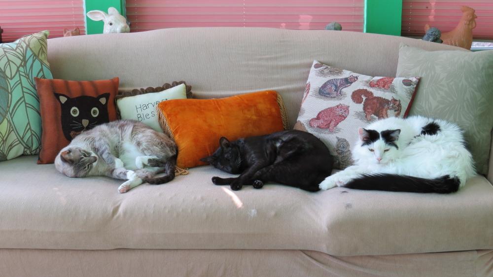 click for larger size