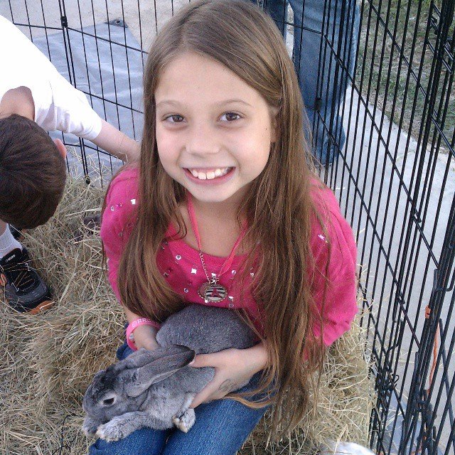 click for larger size