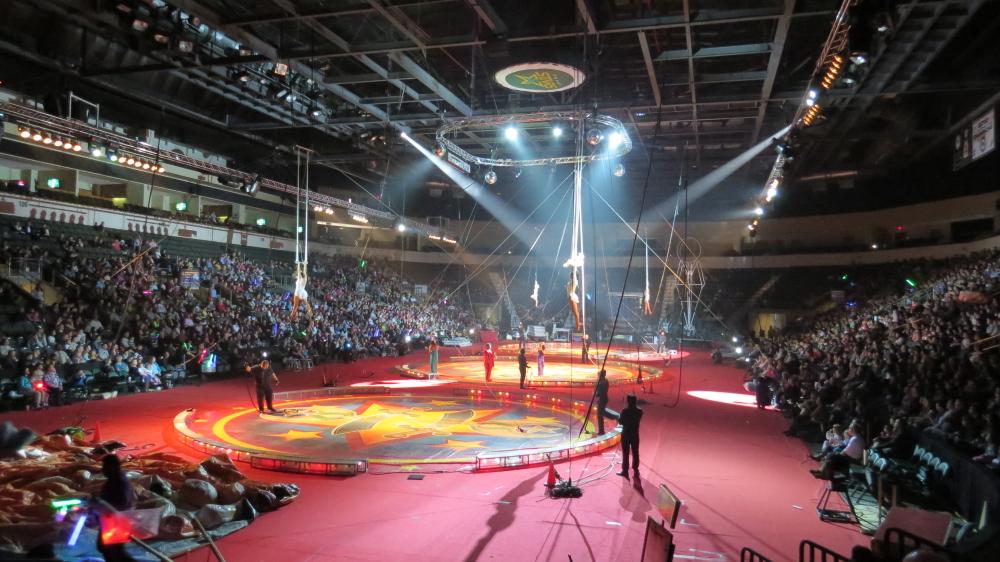 click for larger size